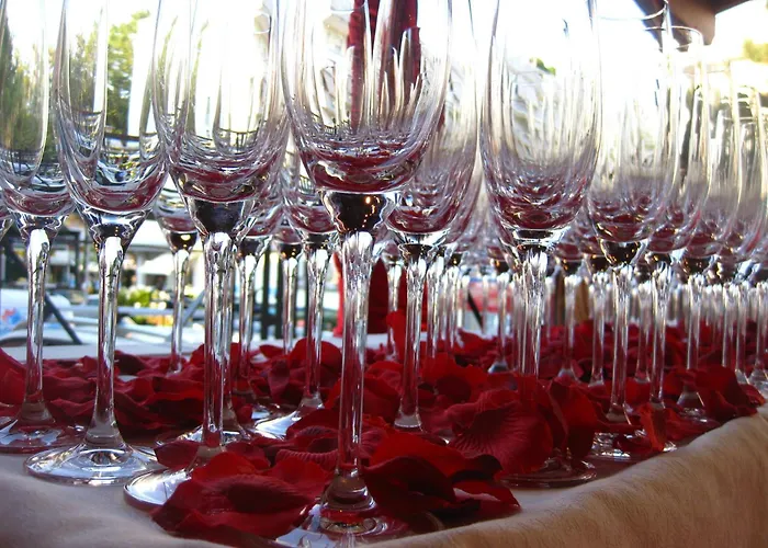 מלון Angelina ביביונה