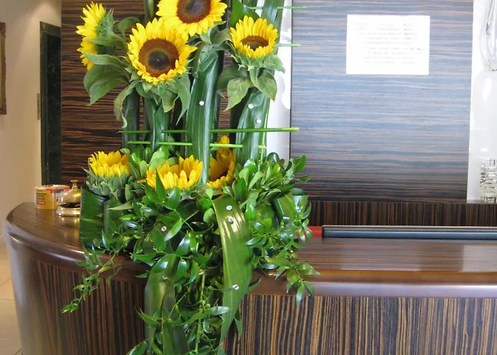 فندق Angelina 3*