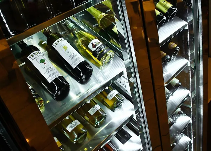 فندق Angelina بيبيوني